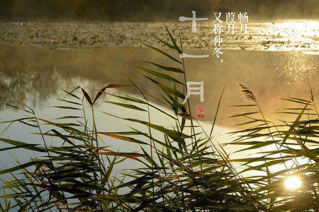 四月中旬别称