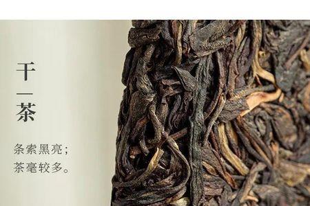曼松王子山古树茶树龄