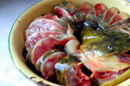 清蒸胡子鲢鱼的正宗做法