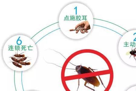 4害指的是哪四害