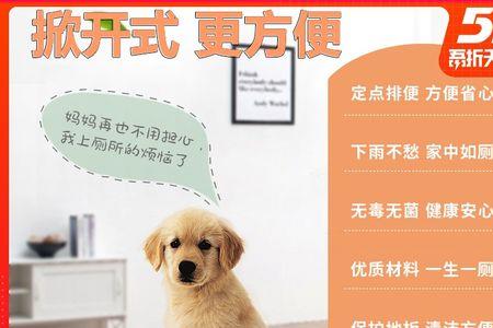 狗厕所的便便漏不下去怎么办