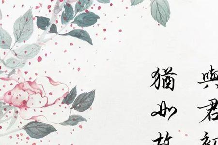 何人不识君上一句是什么