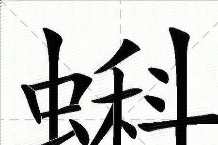 蝌组词2个字