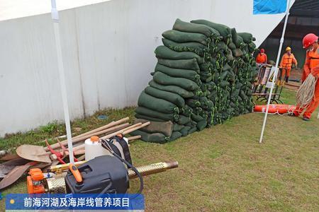 项目抢险是什么意思