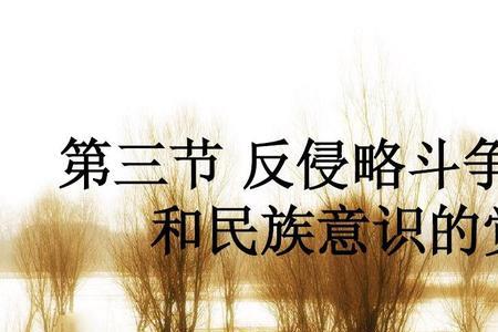 入侵意识什么意思