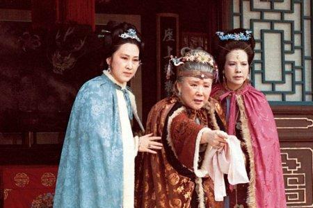 大太太是贾琏的母亲吗