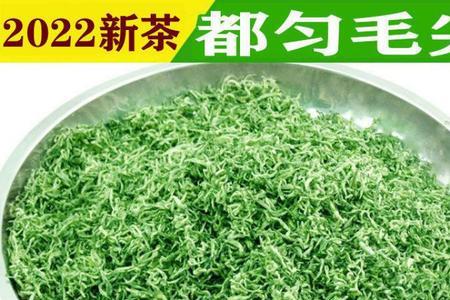 毛尖茶多久结茶叶