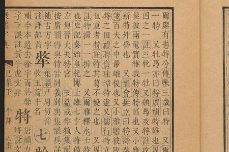 特矣什么意思