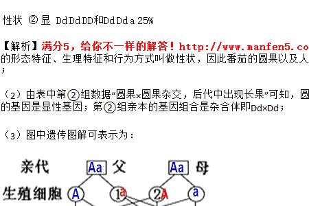 什么叫亲本的基因组成