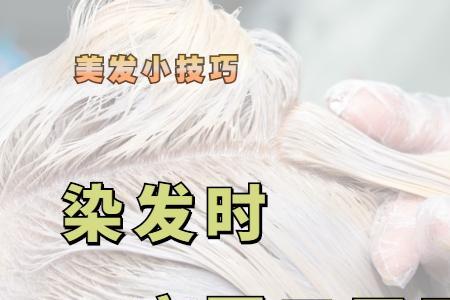 发根单染需要多长时间