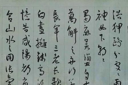 廿伍什么意思