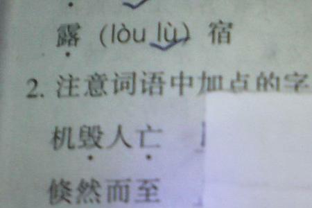 悄悄落类似的词语