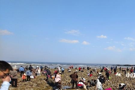 海阳金沙滩赶海时间表