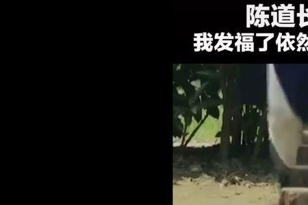 身轻如燕下一句是什么