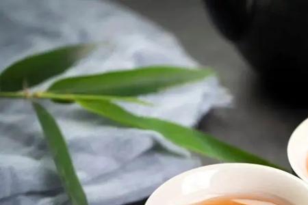 不胜酒意什么意思