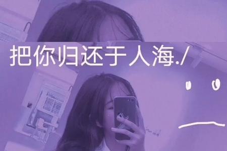 归还人海祝君安好什么意思