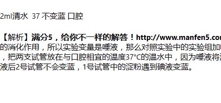 淀粉遇唾液会呈什么颜色