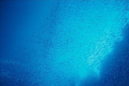 世界海水淡水都有多少
