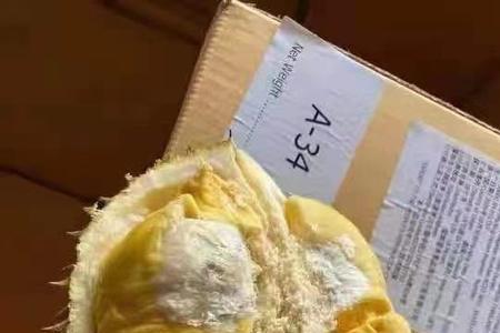 液氮榴莲能保存几天