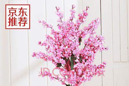 桃花树适合用什么盆