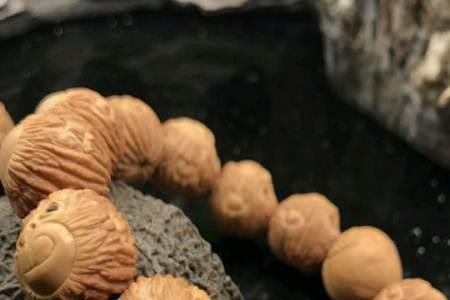 猴头放密封袋可以包浆吗