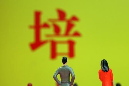 公办教育集团是什么意思