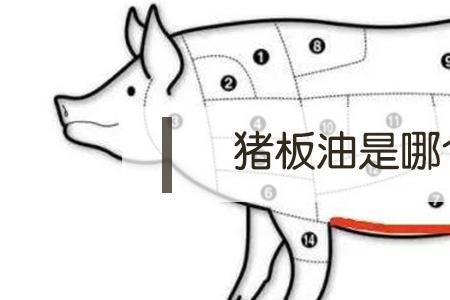 猪大嘴是哪个部位