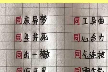 同大异小是什么成语