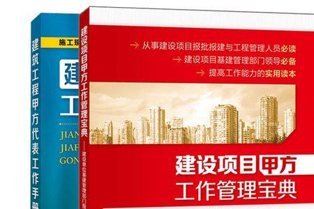 项目甲方是什么意思