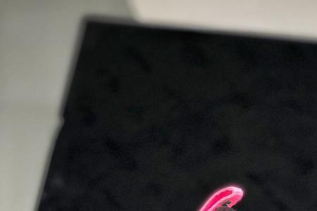 古米茄和耐克哪个更好