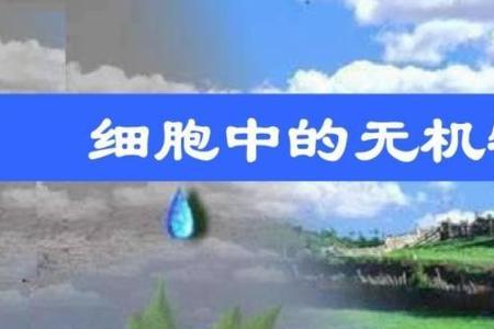 无机物的定义是什么