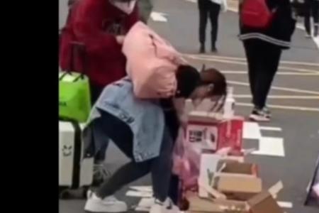 尽一点绵薄之力下一句是什么