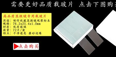 显微镜包括载玻片和盖玻片吗