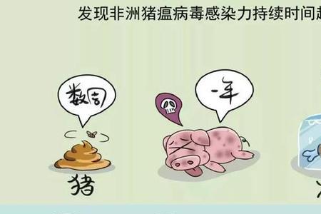 什么是祝文