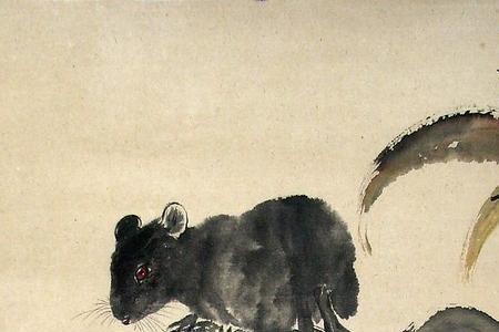 子鼠窜道未犯法是什么生肖