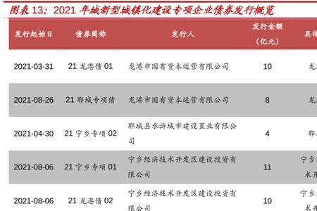 债券项目建设什么意思