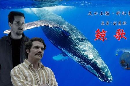 歌曲   什么的鲸