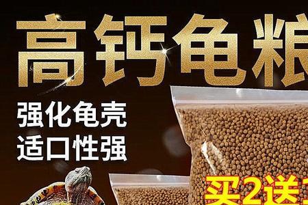 乌龟开口粮什么意思