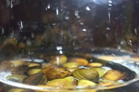 河蚌放入鱼缸前怎么消毒