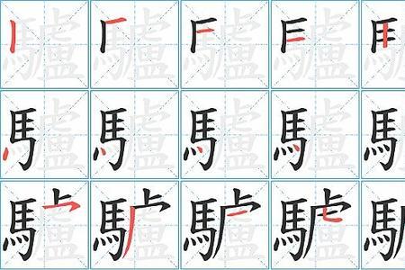 驴的量词是什么