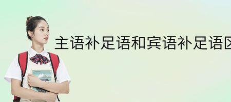 主补和宾补的区别
