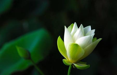 心存念想什么意思