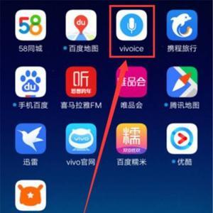 vivo手机怎么没有应用与服务