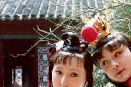 第三十八回林黛玉人物形象