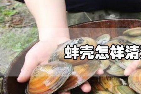 河蚌用盐水消毒就可以了吗