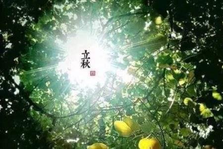 立秋月下有感经典语录