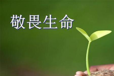 心存敬畏什么意思