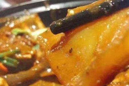 甲鱼炸鸽子叫什么菜