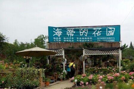 海蒂的花园春节开放时间