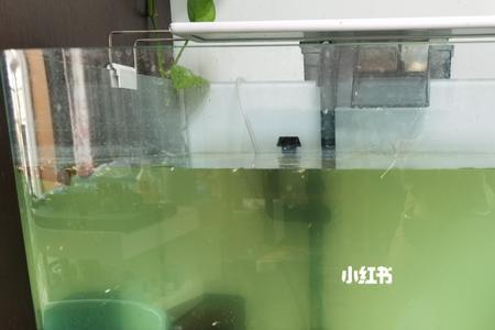 困水爆氧多久